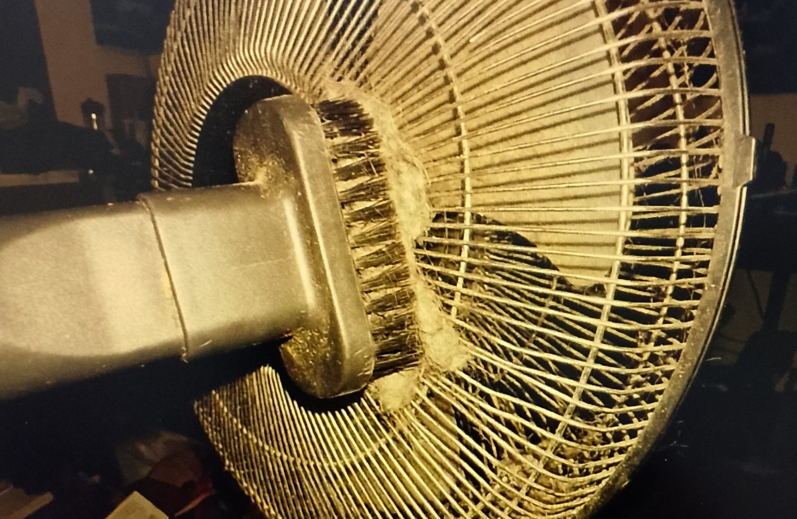 back fan Cleaning the back of the fan with a vacuum cleaner
