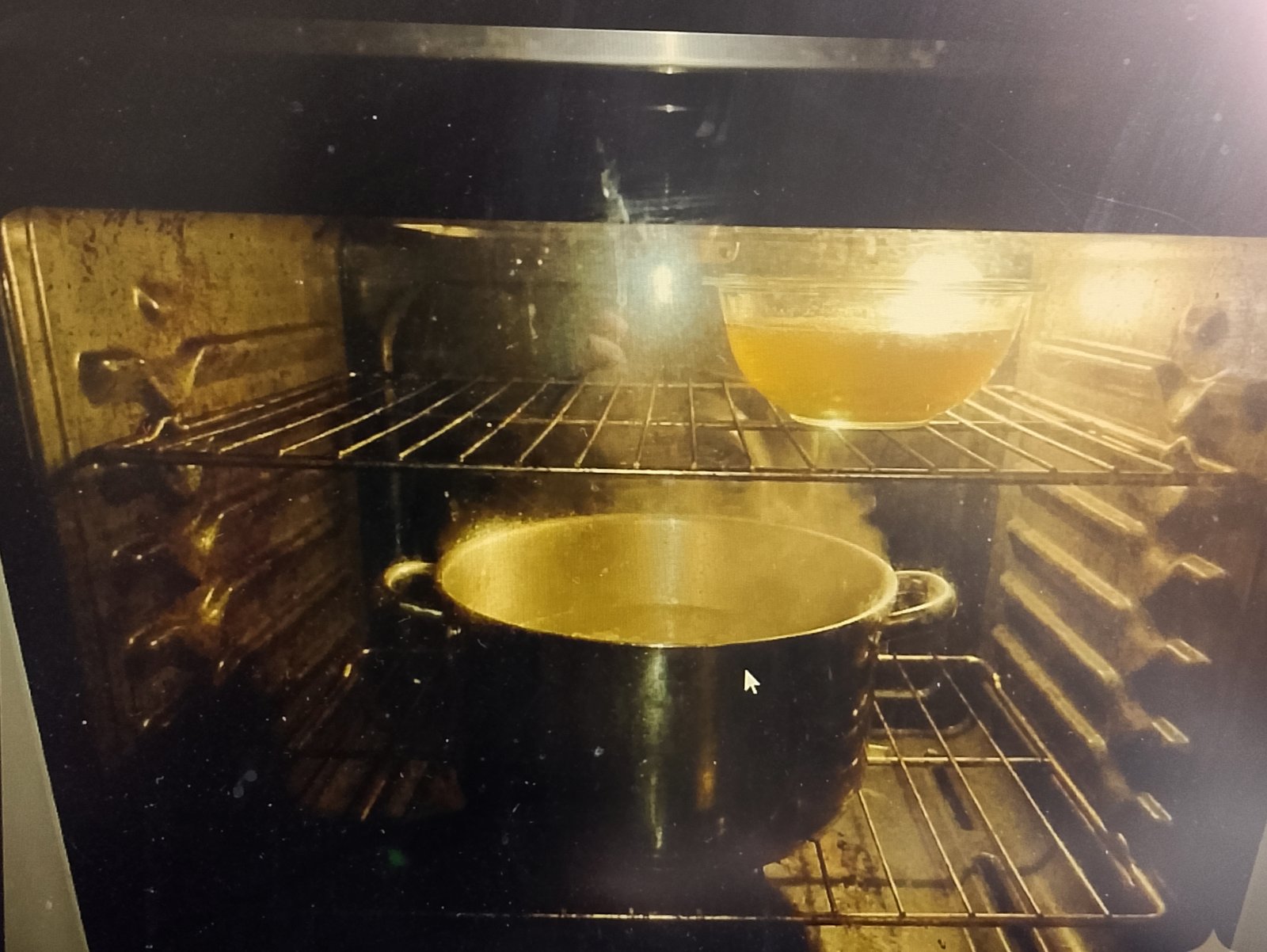 Boiling water pot and ammonia bowl inside the oven