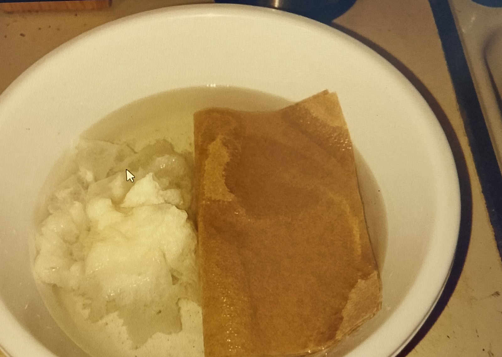 paper towel Comparison of toilet paper dissolving vs paper towel staying solid in water