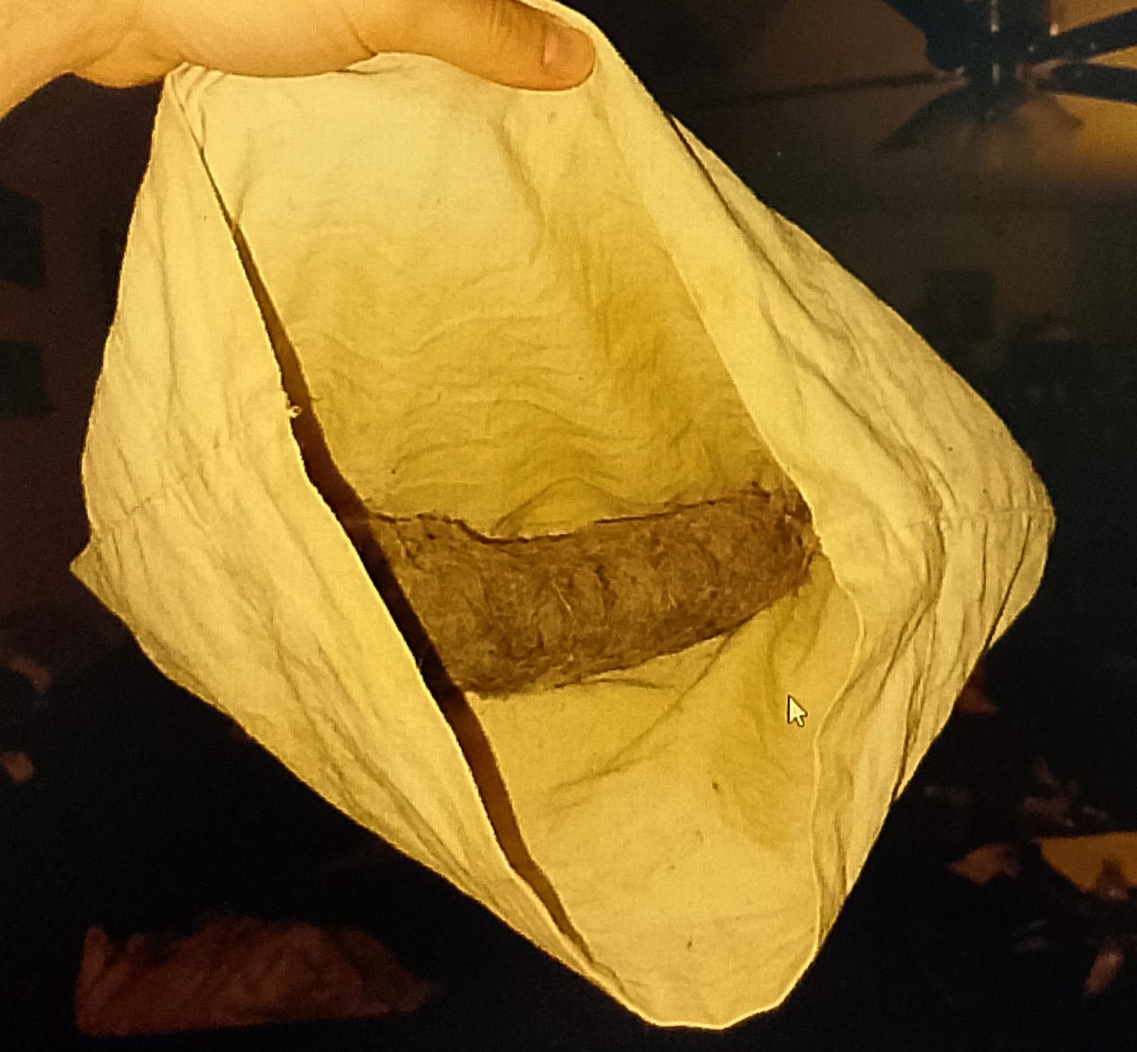 sausage fan Dust sausage trapped in pillowcase
