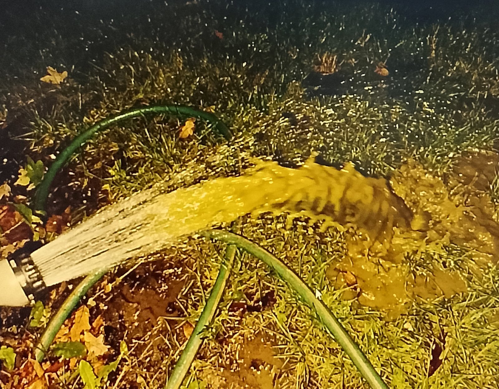 water shooting Garden hose siphon removing dirt from pool bottom