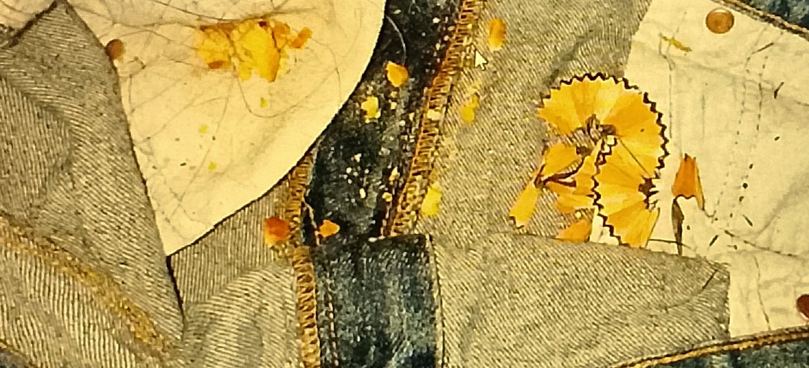 IMG ٢٠٢٦٠١١٣ ١٥٠١٠٦ Dirty JanSport pockets