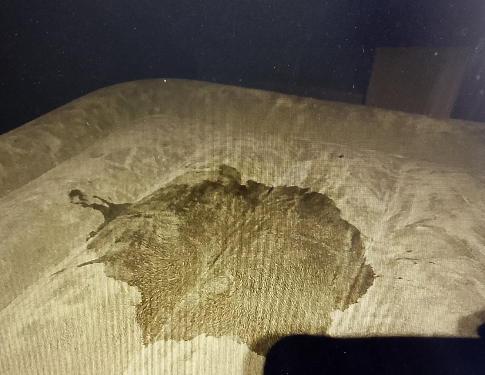 Vinegar soaking into the flocked air mattress to neutralize urine odors