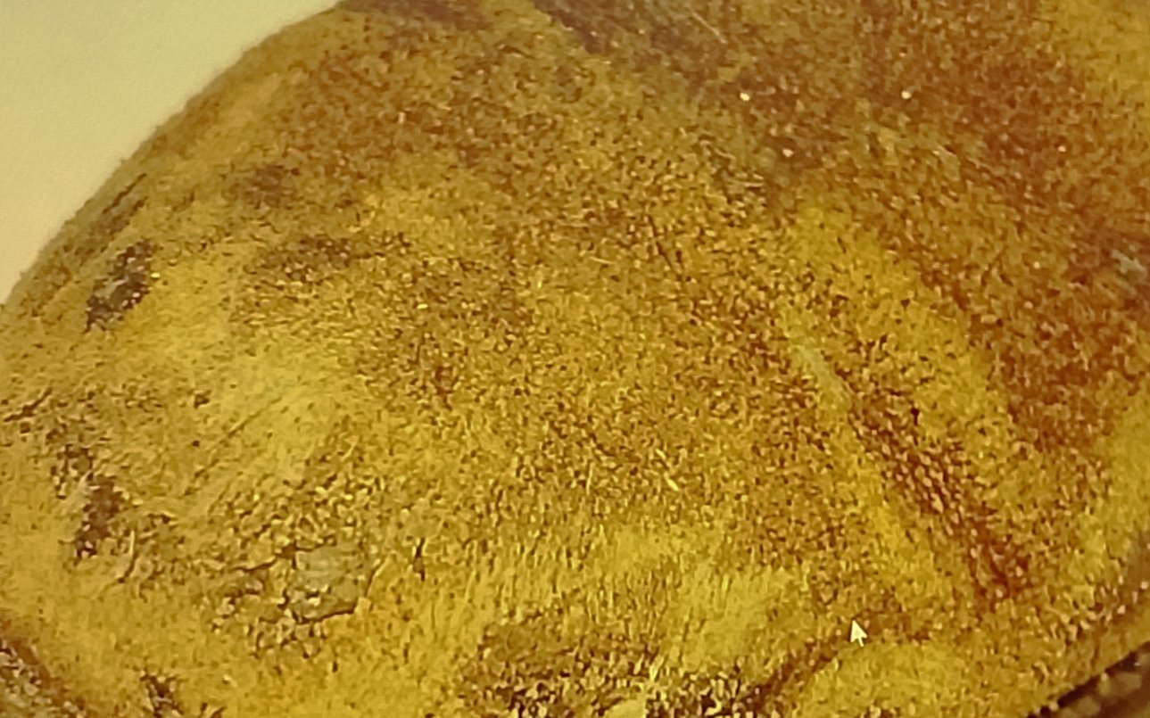 dirty flattened Dirty flattened suede nap on UGG boot toe before brushing
