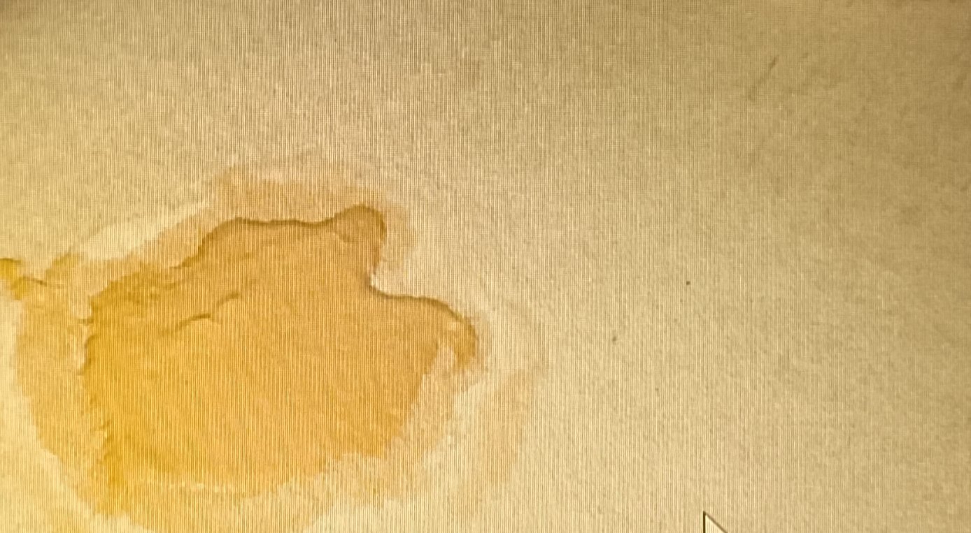 Baking soda paste drying on the mattress stain