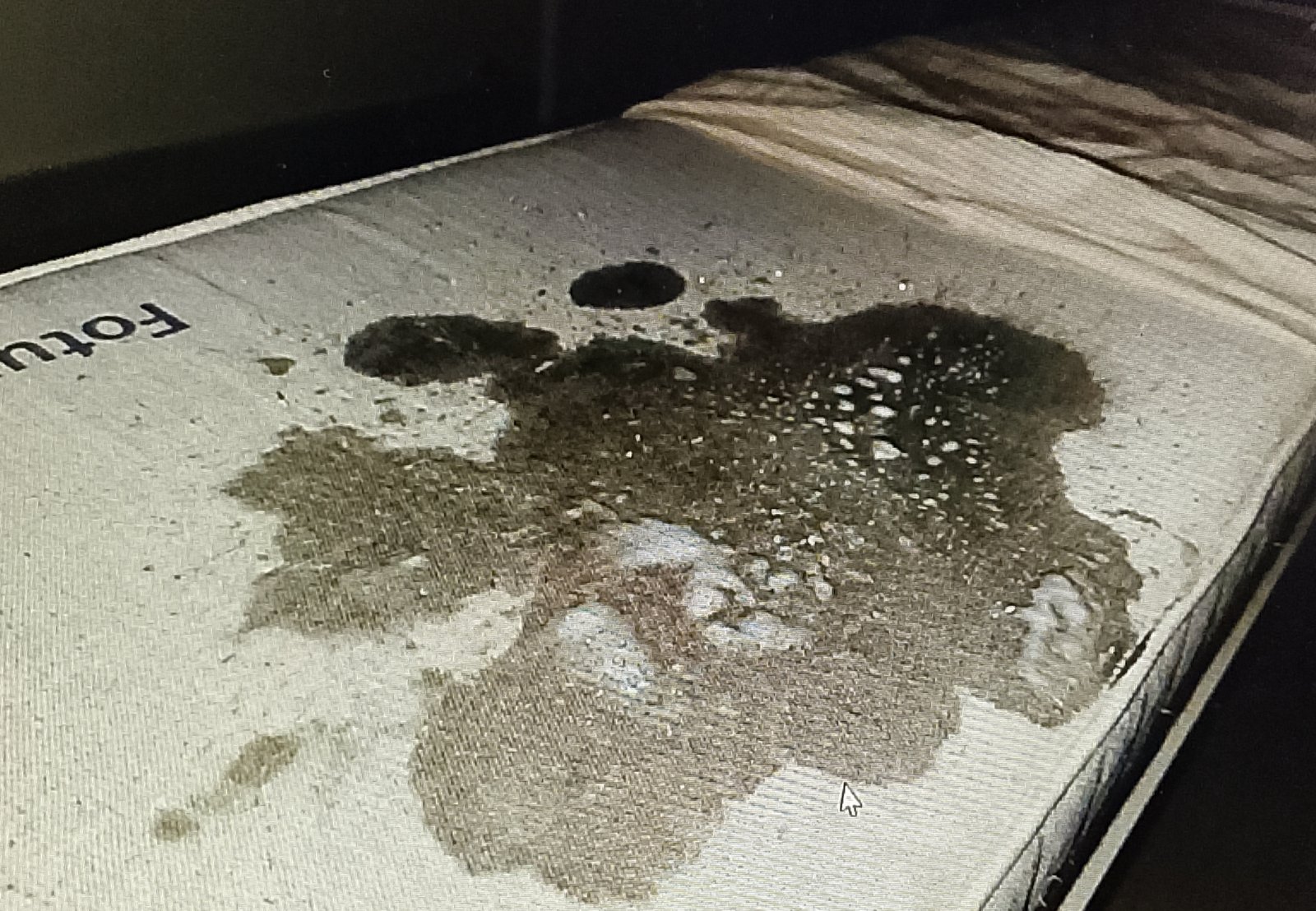 Futon mattress damp with enzyme cleaner