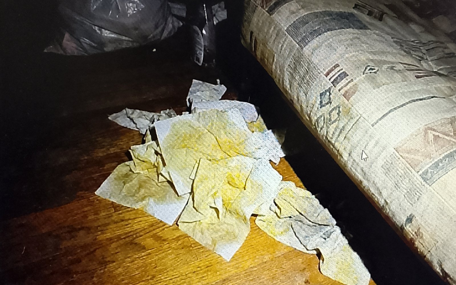 Paper towels absorbing urine from futon mattress