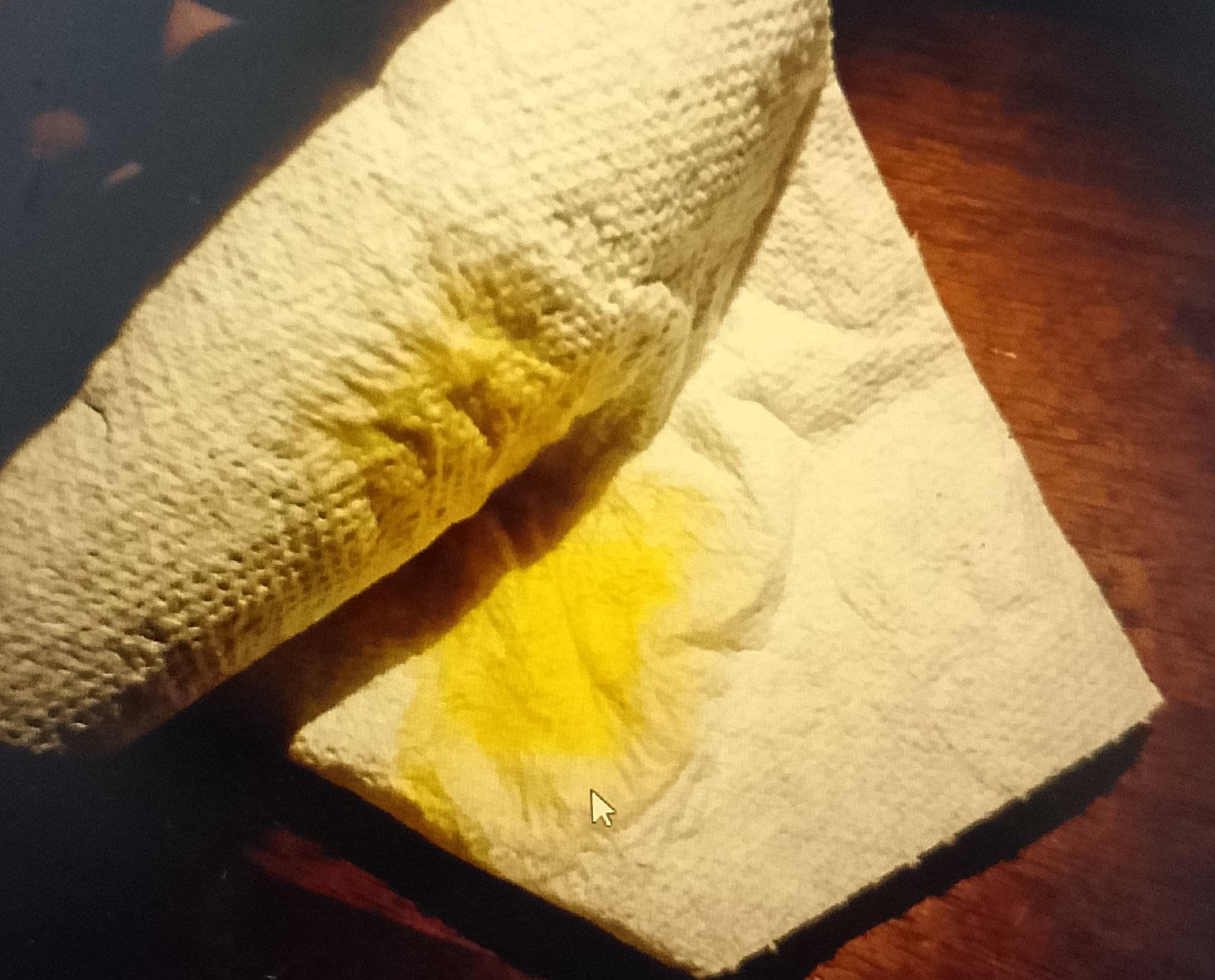 paper towel Blotting urine from mattress topper with paper towel
