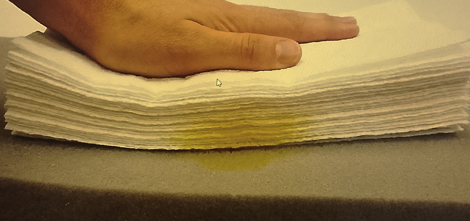 The Physics of Blotting - Cleaning urine off foam