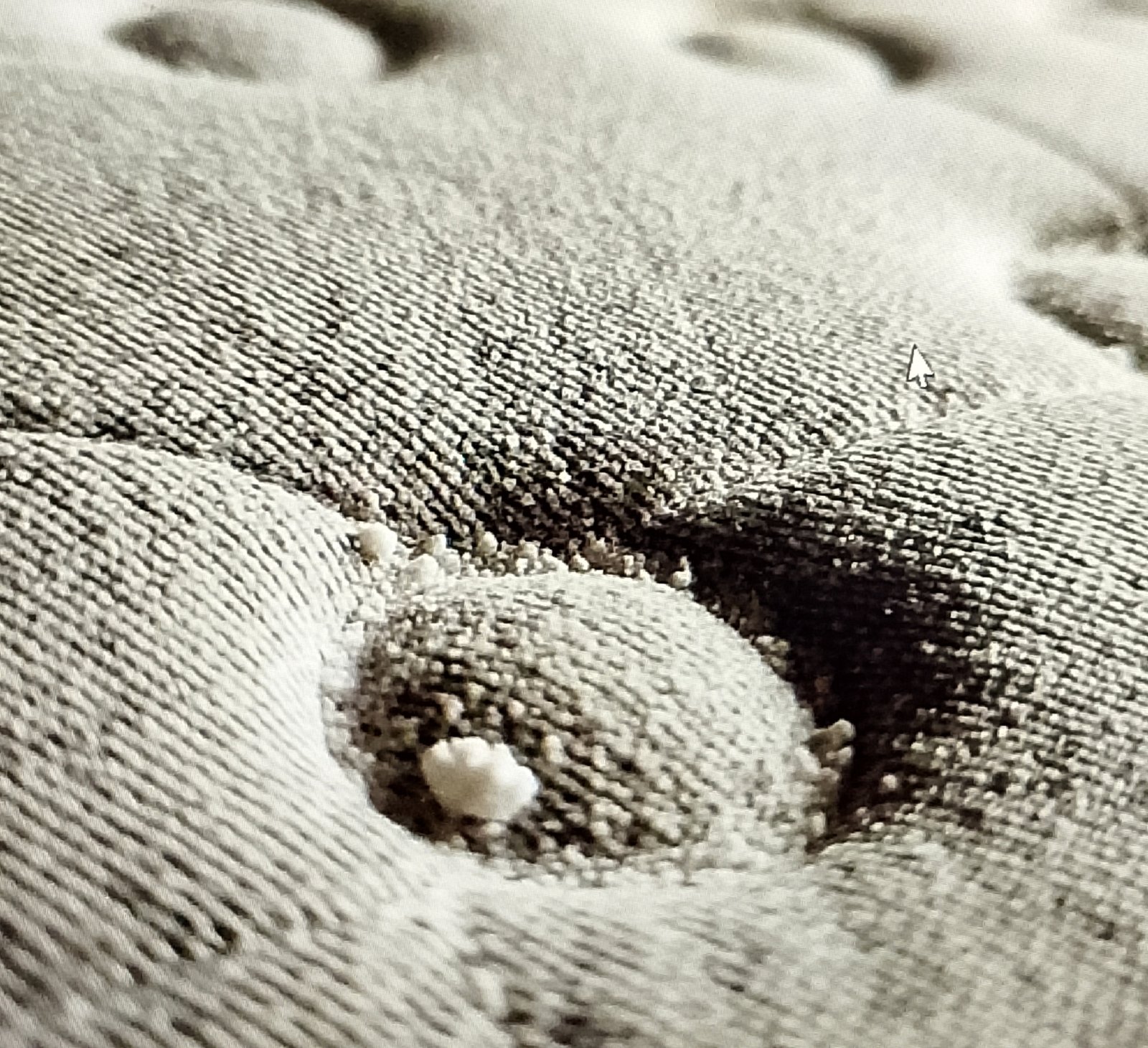 Baking soda powder scrubbed into mattress fabric