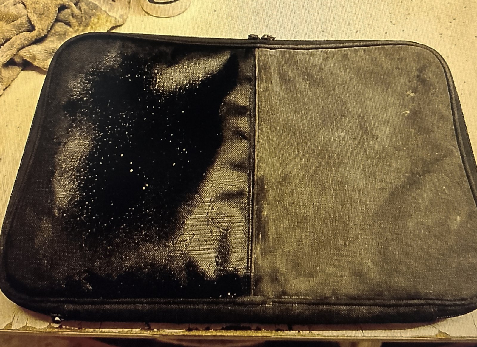 clean luggage 1