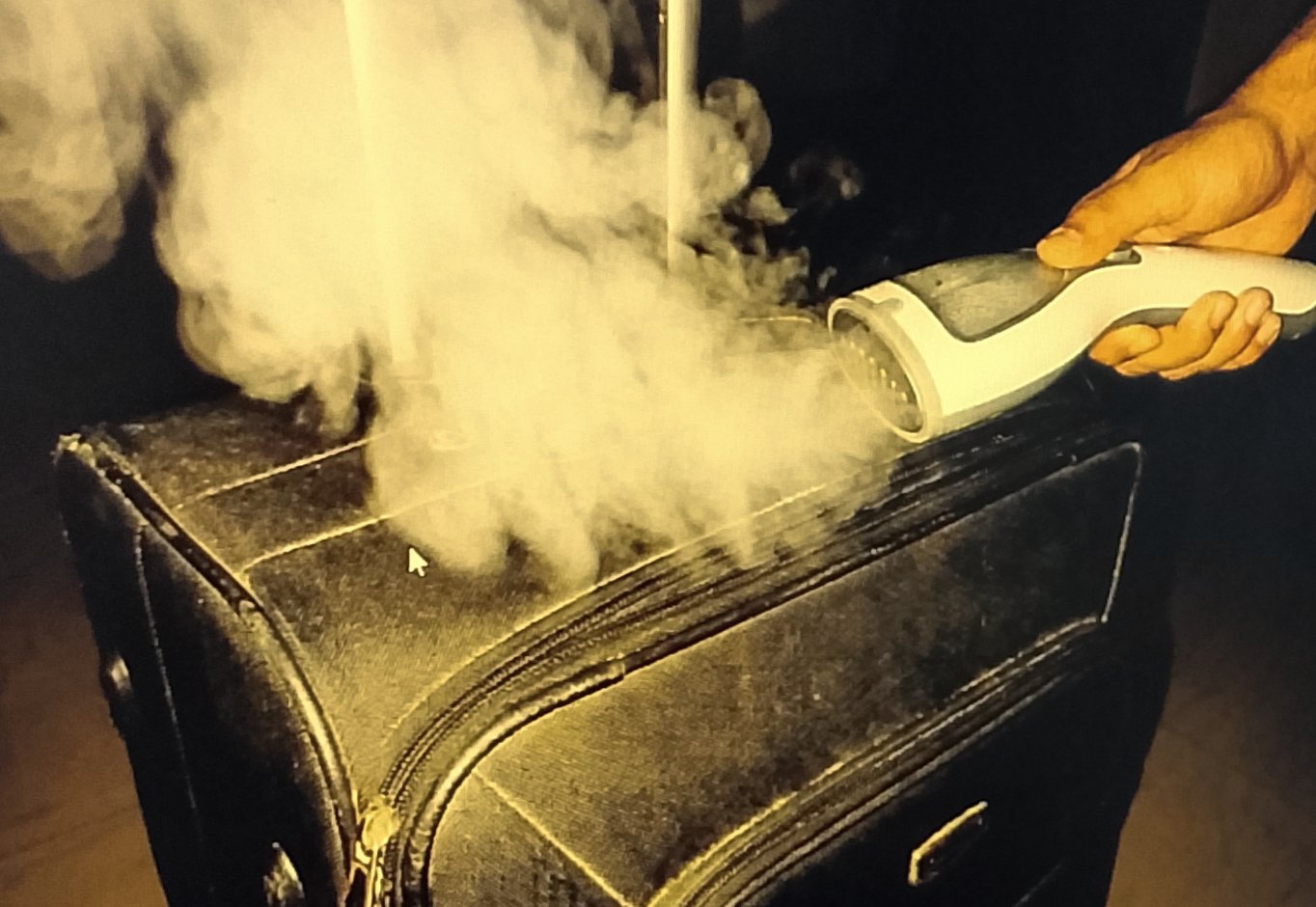 Steaming luggage zipper to kill bed bugs