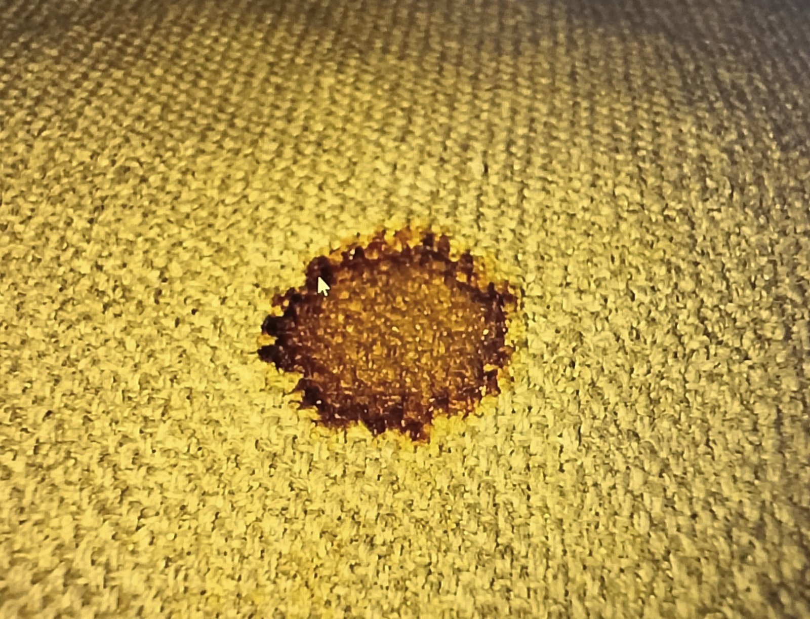 coffee on sand weighted blanket Inspecting sand weighted blanket for stains on the floor