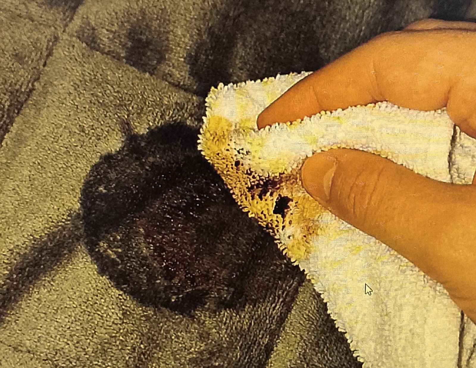 Blotting a coffee stain on a weighted blanket