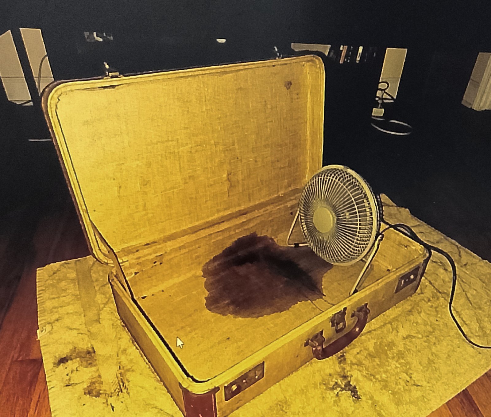 fabric luggage Fabric luggage drying in front of a fan