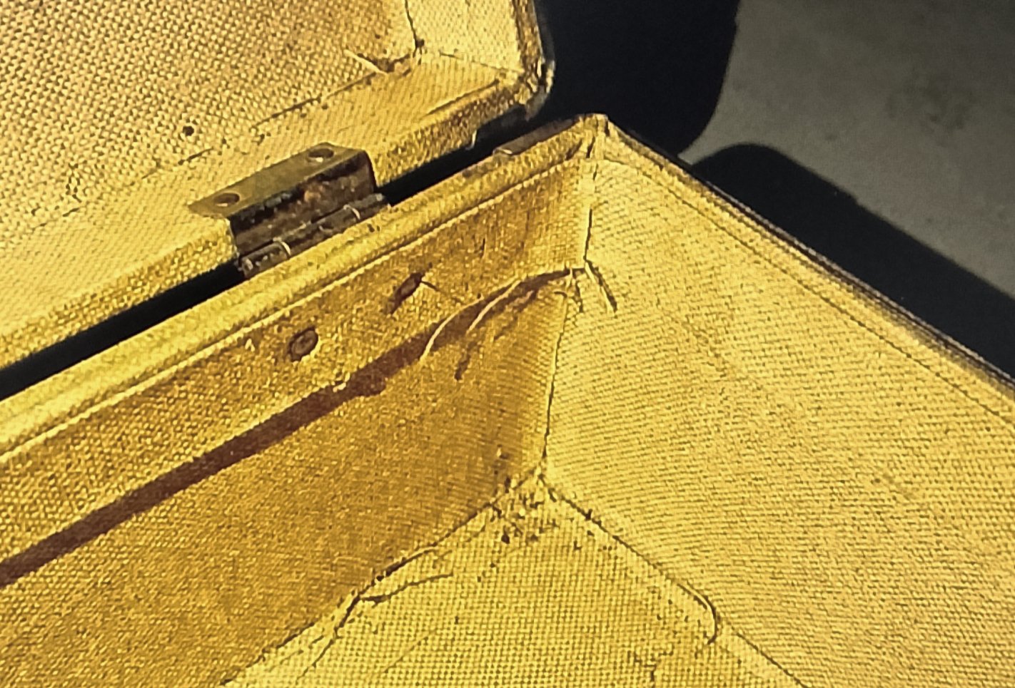luggage Vacuuming interior of vintage luggage before cleaning