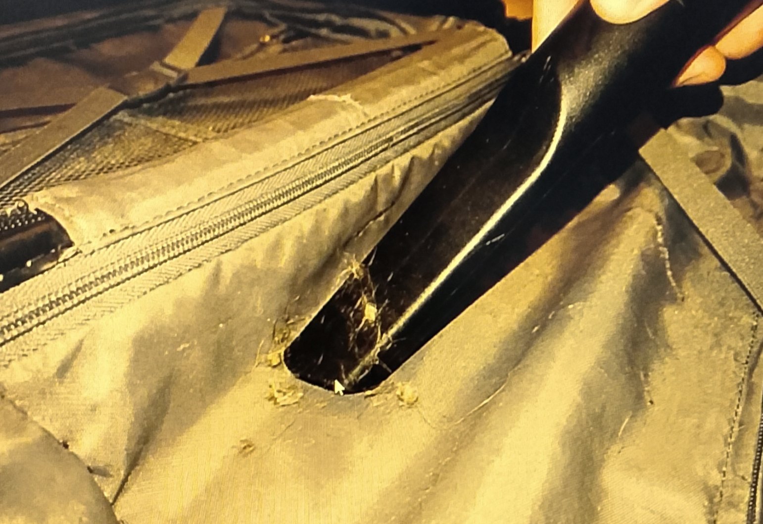 Vacuuming suitcase seams to remove bed bugs