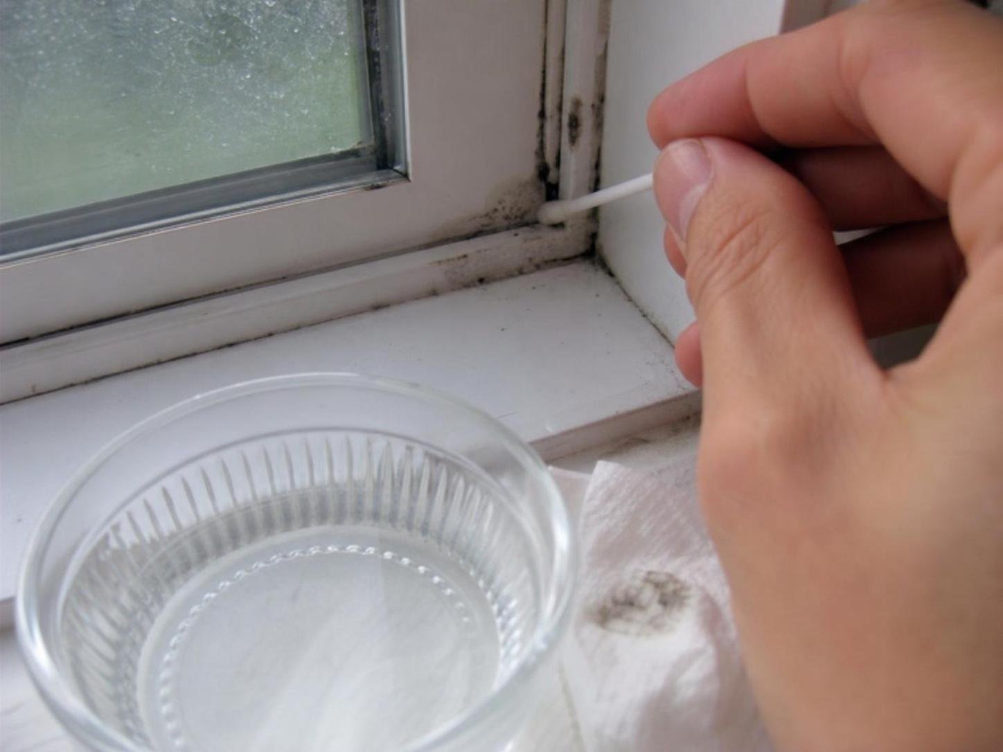 cleaning method 🟩2. Row number 2 124 Close-up household cleaning method for how to remove mold from window frames; best way to remove mold from window frames; remove mold from window frames without damage; safe cleaner for mold from window frames; how to prevent mold from window frames; mold from window frames cleaning mistakes
