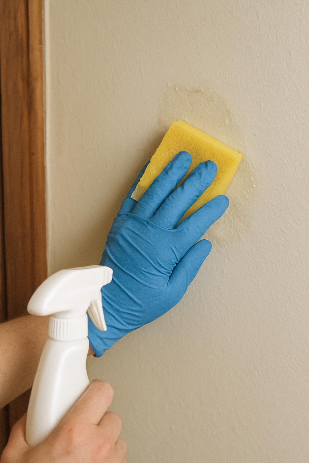 cleaning method 🟩2. Row number 2 158 Close-up of cleaninghow to remove sticky residue from painted walls