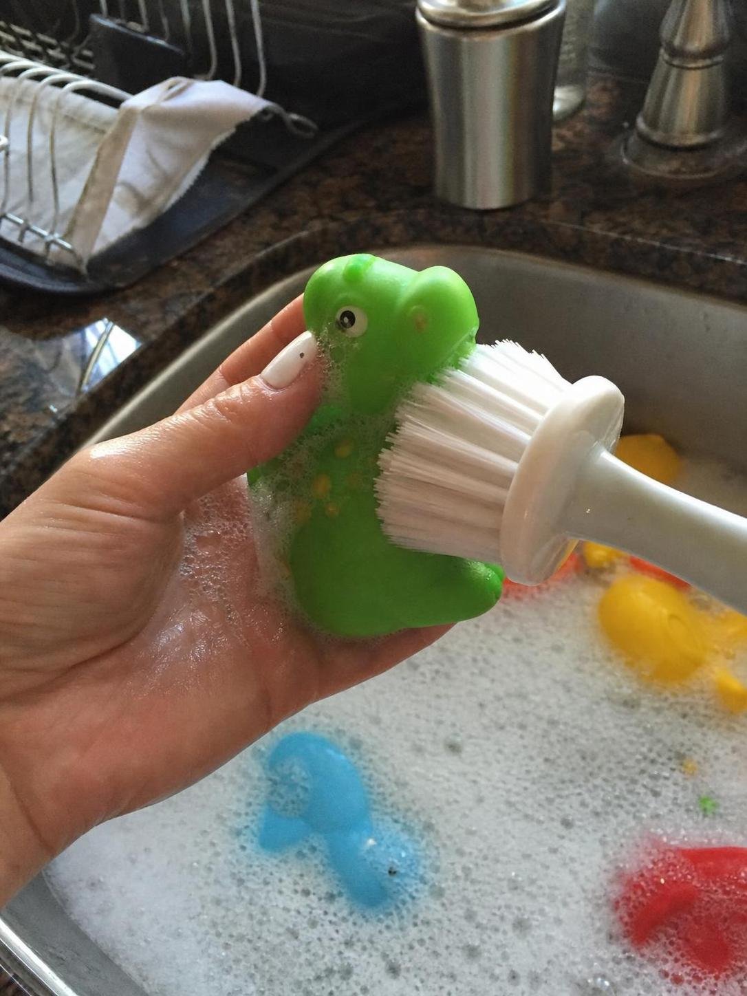 Close-up household cleaning method for how to keep bath toys clean
tips for cleaning bath toys