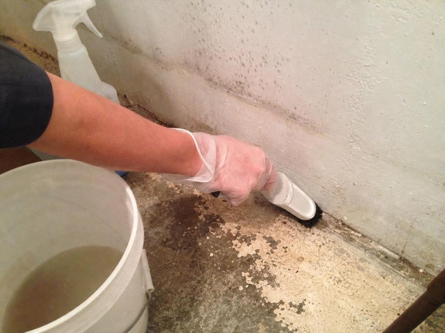 cleaning method 🟩2. Row number 2 47 Close-up household cleaning method for how to remove mildew smell from a basement; best way to remove mildew smell from a basement; remove mildew smell from a basement without damage; safe cleaner for mildew smell from a basement; how to prevent mildew smell from a basement; mildew smell from a basement cleaning mistakes