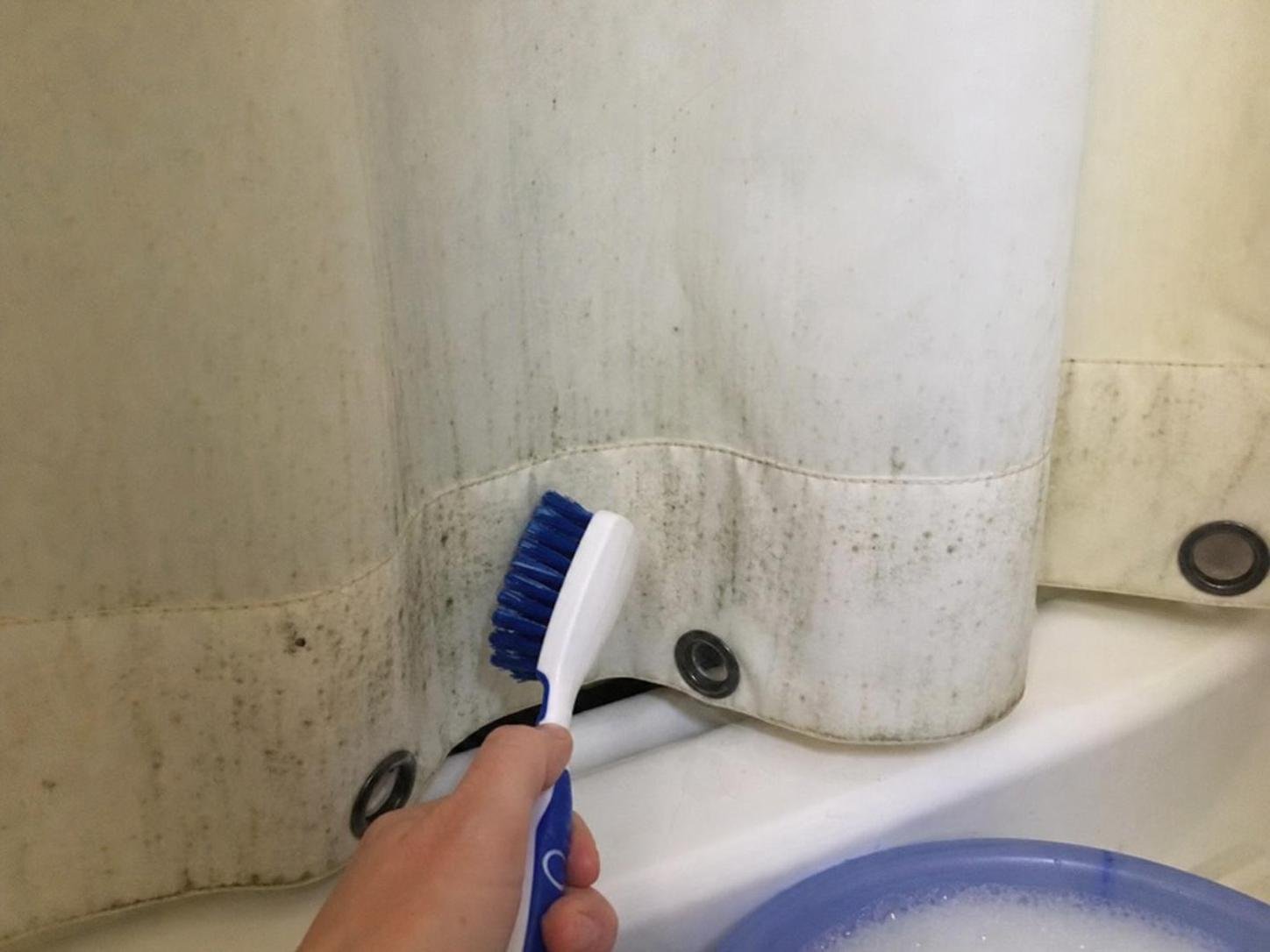 Close-up household cleaning method for how to remove mildew from a shower curtain; best way to remove mildew from a shower curtain; remove mildew from a shower curtain without damage; safe cleaner for mildew from a shower curtain; how to prevent mildew from a shower curtain; mildew from a shower curtain cleaning mistakes