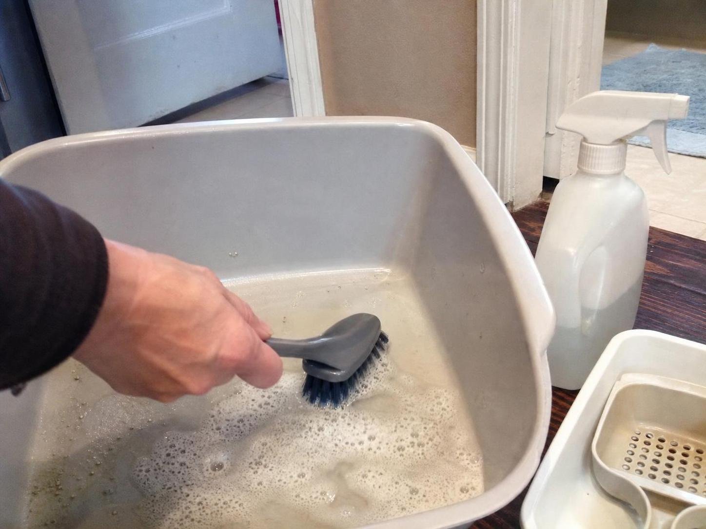 cleaning method 🟩2. Row number 2 64 Close-up household cleaning method for how to remove cat litter smell from a room; best way to remove cat litter smell from a room; remove cat litter smell from a room without damage; safe cleaner for cat litter smell from a room; how to prevent cat litter smell from a room; cat litter smell from a room cleaning mistakes