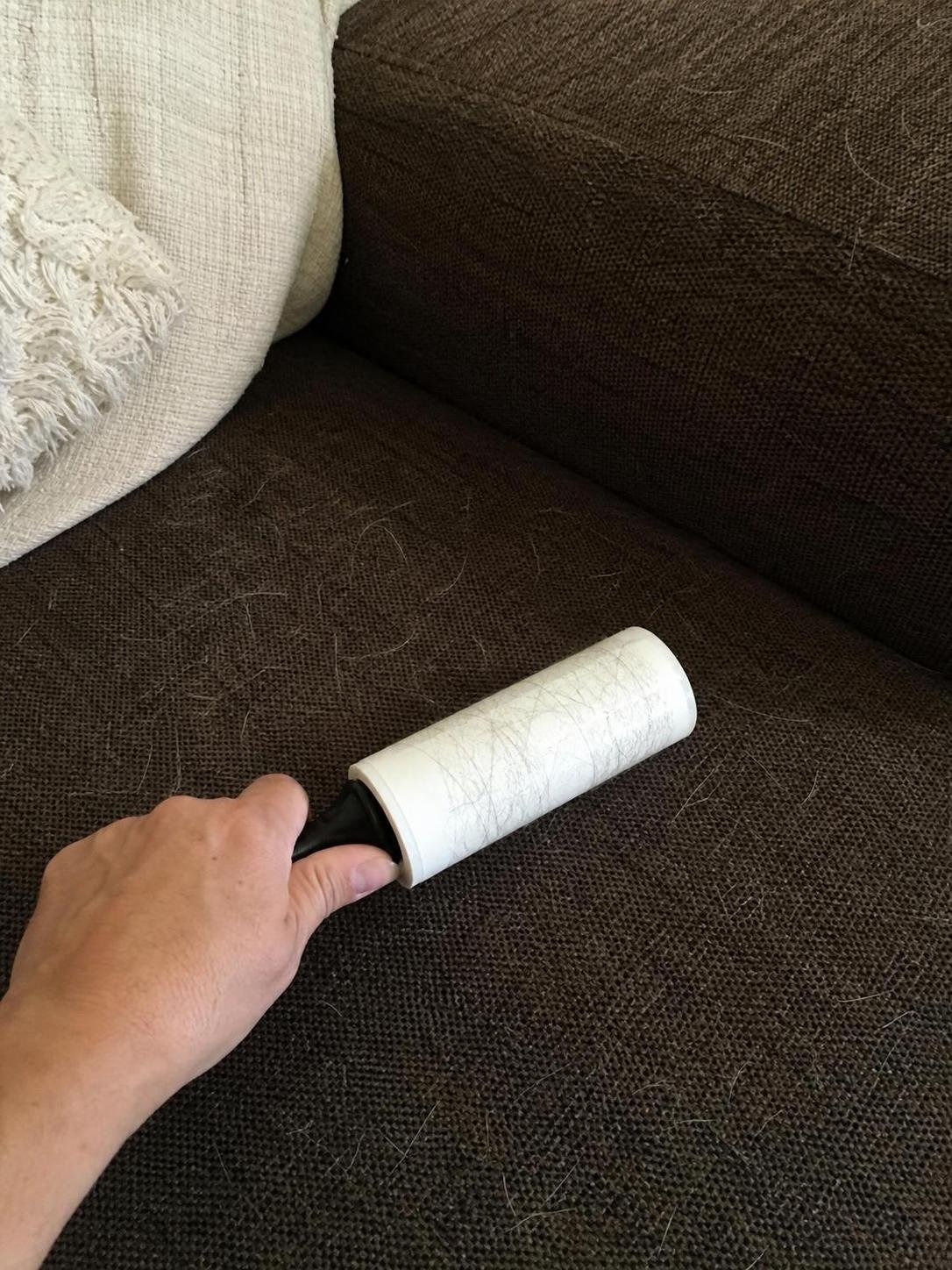 cleaning method 🟩2. Row number 2 77 Close-up household cleaning method for how to clean dog hair from a fabric sofa; best way to clean dog hair from a fabric sofa; clean dog hair from a fabric sofa without damage; safe cleaner for dog hair from a fabric sofa; dog hair from a fabric sofa cleaning mistakes; how often to clean dog hair from a fabric sofa