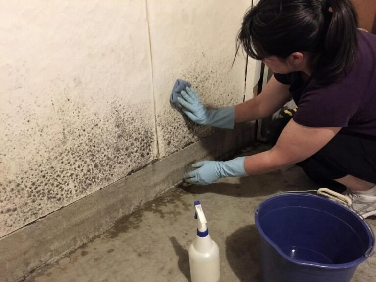 Real household cleaning scene for how to remove mildew smell from a basement; best way to remove mildew smell from a basement; remove mildew smell from a basement without damage; safe cleaner for mildew smell from a basement; how to prevent mildew smell from a basement; mildew smell from a basement cleaning mistakes