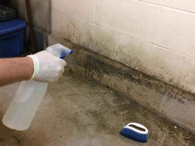 output1 47 Real household cleaning scene for how to remove mildew smell from a basement; best way to remove mildew smell from a basement; remove mildew smell from a basement without damage; safe cleaner for mildew smell from a basement; how to prevent mildew smell from a basement; mildew smell from a basement cleaning mistakes