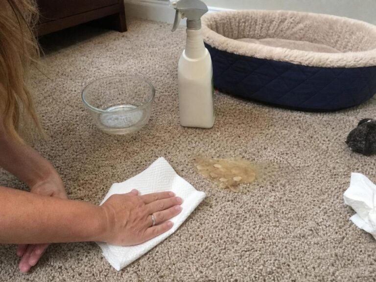 Real household cleaning scene for how to clean pet vomit from carpet; best way to clean pet vomit from carpet; clean pet vomit from carpet without damage; safe cleaner for pet vomit from carpet; pet vomit from carpet cleaning mistakes; how often to clean pet vomit from carpet