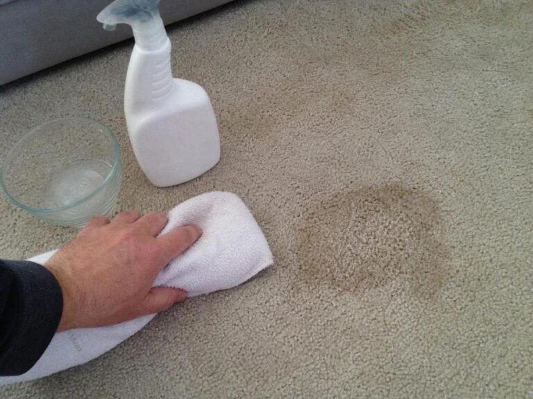 Real household cleaning scene for how to remove dog urine smell from carpet after it dries; best way to remove dog urine smell from carpet after it dries; remove dog urine smell from carpet after it dries without damage; safe cleaner for dog urine smell from carpet after it dries; how to prevent dog urine smell from carpet after it dries; dog urine smell from carpet after it dries cleaning mistakes