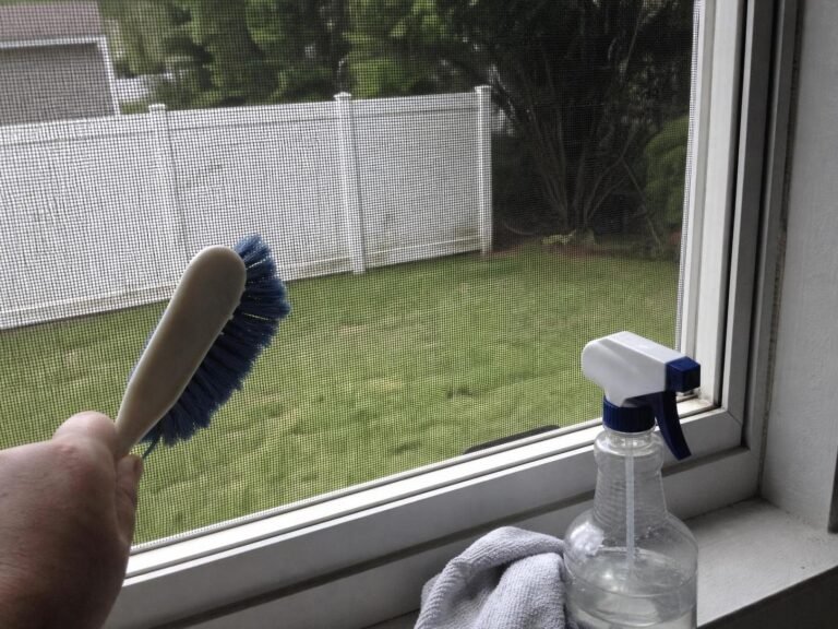 Real household cleaning scene for how to clean window screens without removing them; best way to clean window screens without removing them; clean window screens without removing them without damage; safe cleaner for window screens without removing them; window screens without removing them cleaning mistakes; how often to clean window screens without removing them