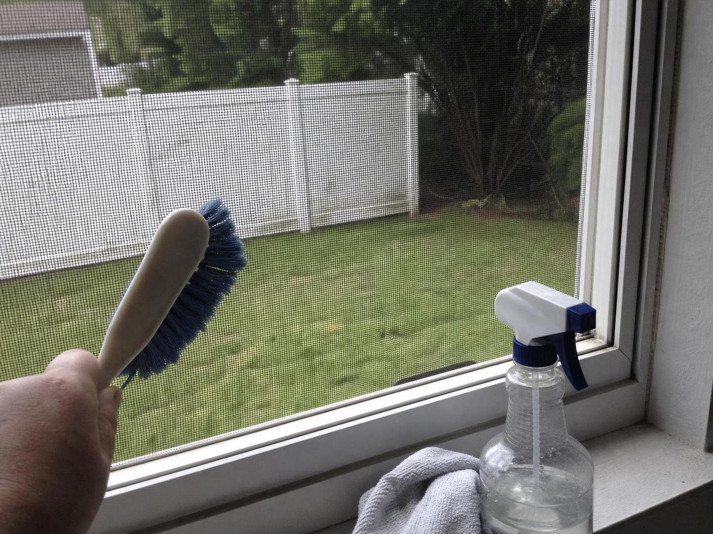output1 61 Real household cleaning scene for how to clean window screens without removing them; best way to clean window screens without removing them; clean window screens without removing them without damage; safe cleaner for window screens without removing them; window screens without removing them cleaning mistakes; how often to clean window screens without removing them