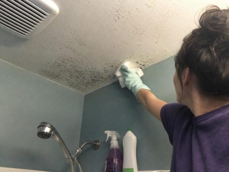 Real household cleaning scene for how to prevent mold in a bathroom without a window; how to prevent mold in a bathroom without a window step by step; best method for how to prevent mold in a bathroom without a window; how to prevent mold in a bathroom without a window without damage; how to prevent mold in a bathroom without a window mistakes to avoid; how to prevent mold in a bathroom without a window maintenance tips