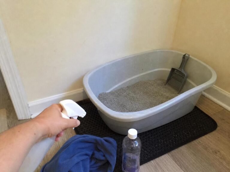 Real household cleaning scene for how to remove cat litter smell from a room; best way to remove cat litter smell from a room; remove cat litter smell from a room without damage; safe cleaner for cat litter smell from a room; how to prevent cat litter smell from a room; cat litter smell from a room cleaning mistakes