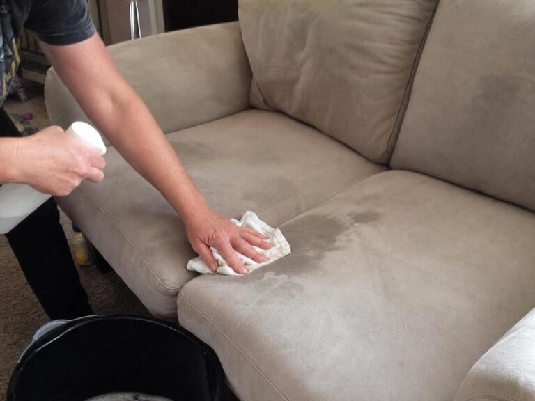 Real household cleaning scene for how to get cat pee smell out of a couch; how to get cat pee smell out of a couch step by step; best method for how to get cat pee smell out of a couch; how to get cat pee smell out of a couch without damage; how to get cat pee smell out of a couch mistakes to avoid; how to get cat pee smell out of a couch maintenance tips